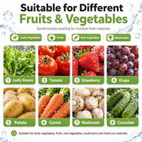 SAIDASHI RVS Fruit- en Groentewasmachine met Ozonverwarming voor Appel, Druif, Aardbei en Tomaat