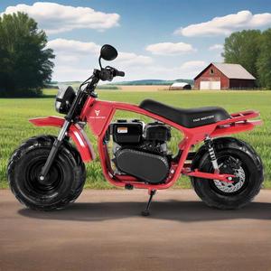รถมอเตอร์ไซค์ Tao Motor 2025 รุ่นใหม่ โครงเหล็ก ยางอ้วน สำหรับขับขี่ออฟโรด 200 ซีซี มินิไบค์ - Product Image 1