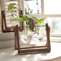 Décoration de la maison et du bureau, mini plante de séparation d'air, station de propagation de terrarium, ampoule de fleur hydroponique, vase en verre, support en bois