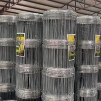Roll Kawat Las 1 Inch X 2 Inch Galvanis, Kain Kawat untuk Kandang Burung, Pagar Peternakan, Jaring Unggas