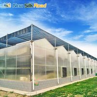 Serre agricole polyvalente Venlo multi-travées en polycarbonate avec grande couverture en plaques PC pour culture hydroponique