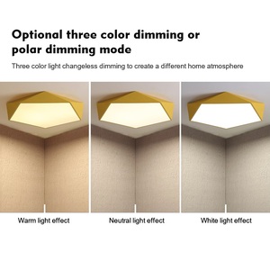 Nouveau produit interrupteur intelligent contrôle intérieur décoratif cuisine salon Led maison plafonnier - Product Image 5