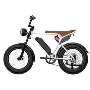 Bicicleta eléctrica EU Stock RX-T3 Fatbike, bicicletas eléctricas de dos ruedas con neumáticos de 20 pulgadas, freno de disco hidráulico, bicicleta eléctrica para adultos - Product Image 6