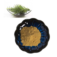 Extrait de romarin de haute qualité, acide rosmarinique 10% en poudre, qualité cosmétique pour les soins de la peau, extrait naturel de plante