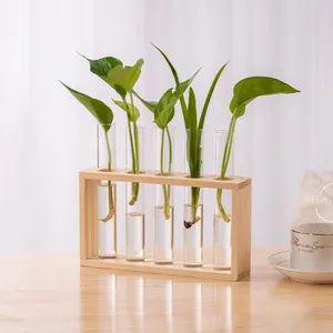 Custom clear acrylic glass vase holder flower plant vase