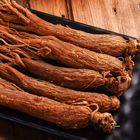 Racine de ginseng rouge séchée AD de qualité supérieure, complément alimentaire naturel à base de plantes, stimule l'énergie, soutient la santé immunitaire