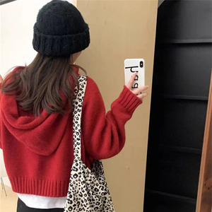 Casaco de Suéter de Malha com Capuz e Zíper de Manga Longa Estilo Coreano para Mulheres - Product Image 6