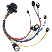 Pièces détachées pour excavatrice KAKALAI, faisceau de câblage pour excavatrice 249-0093, faisceau de câblage d'injecteur de carburant pour moteur CAT C11 C13
