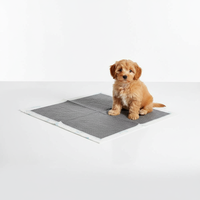 Tapis d'apprentissage jetables en bambou et pâte de bois anti-odeur pour animaux de compagnie – Vente en gros