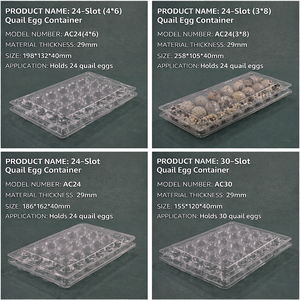 Boîte d'emballage jetable en plastique PET transparent pour œufs de <span class=keywords><strong>caille</strong></span>, plateau en plastique transparent à 6, 8, 10, 12, 15, 18, 20, 24, 30 alvéoles pour œufs de <span class=keywords><strong>caille</strong></span> géants - Product Image 5