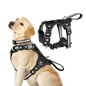 Hot Sale Reflective Solid Nylon Buckle Closure CT-lite Pet <b>Harnesses</b> Adjustable <b>No</b> <b>Pull</b> Dog <b>Harness</b> for Size S - Product Image 1