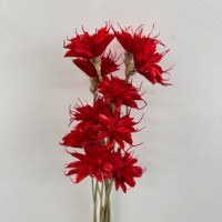 Bunga Kering Buatan Tangan Bentuk Bunga Cengkeh dengan Daun Berwarna-warni untuk Dekorasi Natal, Pernikahan, dan Rumah - Pilihan Multi-warna