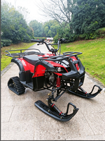 Quad convertible 125CC à essence, adapté à la plage et à la neige, ATV tout-terrain pour les loisirs en plein air