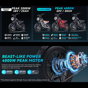 Bicicleta Eléctrica BEST F6Pro 4000W para Adultos, Batería de Litio de 60V 30AH, Acero al Carbono, Largo Alcance de 200 Millas, Motor Dual, 50 MPH - Product Image 4