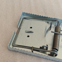 Piège à souris en acier grand receveur à ressort pour rongeurs belettes taupes et rats avec répulsif pour cage de capture pour les usines