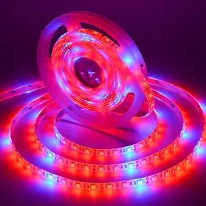 DC 12V Cresce A Luz LED Full Spectrum Luzes LED Strip 5m SMD5050 Lâmpadas LED Phyto Para Estufa Hidropônica Da Planta