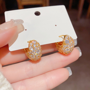 Orecchini a Cerchio in Rame Vianrla 2026, Nuovi con Zirconi AAA+, Placcati Oro/Argento, Gioielli alla Moda - Product Image 5