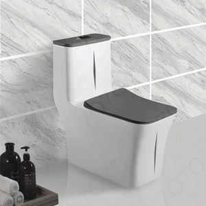 Hiện đại kép tuôn ra một mảnh nhà vệ sinh gốm 3076S P 180 mét trong nhà vuông washdown <span class=keywords><strong>WC</strong></span> cho khách sạn và phòng tắm - Product Image 1