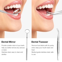 Kit de Herramientas para Eliminar el Sarro, Limpiador Dental Eléctrico, Removedor de Cálculos