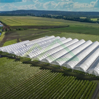 Grote enkellaagse multi-span PE polyfolie kasconstructie voor de productie van hoogproductieve groenten en bessen