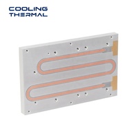 Plaque froide liquide en aluminium usinée CNC, soudée par friction, sur mesure, pour le refroidissement de puces de serveurs de centres de données, OEM