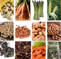 Industriële Groente Fruit Wassen Reiniging Sorteren Snijden Blancheren Drogen Productielijn Groente Fruit Verwerking Machine