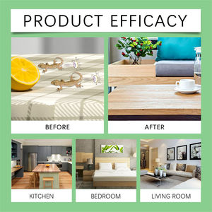 Gel Repelente de Plagas Jue Fish 120g, Repelente de Geckos para Cocina, Dormitorio, Sala de Estar y Automóvil - Product Image 4