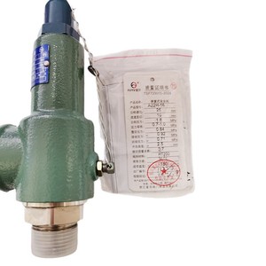 Válvula de seguridad Fuyu A22H-16 DN25 DN40 para alivio de presión en tanques de almacenamiento de oxígeno - Product Image 3