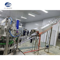 Système de brassage de bière en acier inoxydable avec ligne de production PLC, fermenteur, remplisseuse et capsuleuse pour brasserie artisanale, mise en conserve et mise en bouteille