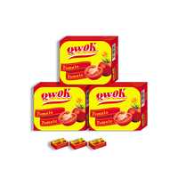 HALAL SPICES 10g Stock Cube Tomato Flavor Bouillon Cube Seasonings Cube for Cooking