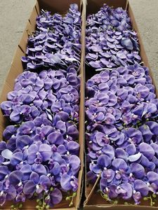 W-A1226 Orquídea Artificial de Alta Calidad con 9 Cabezas, Hecha a Mano, Impresa en 3D, con Tacto Real, para Decoración de Bodas y Hogar - Product Image 5