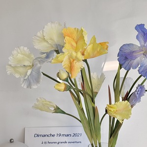 Fleurs d'<span class=keywords><strong>iris</strong></span> artificielles style peinture à l'huile, toucher réel, pour mariage, décoration intérieure, hôtel, ameublement doux, accessoires de photographie - Product Image 3