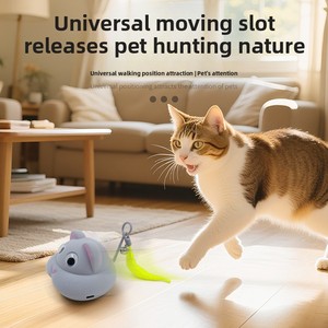 رنين فأرة USB جديدة وصديقة للتسلية الذاتية للبيع بالجملة ، صوت كهربي مشط ، صوت القط مصنوع من البلاستيك - Product Image 2