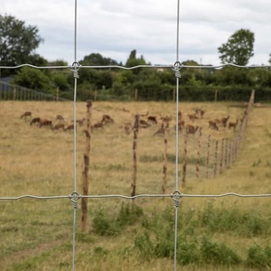 Clôture en fil métallique tissé à nœuds fixes, robuste, galvanisée, pour bétail, moutons, ferme, prix d'usine, clôture pour ferme de cerfs - Product Image 5