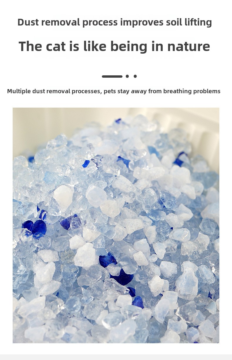 How to Choose the Best Perfume for Bentonite Cat Litter