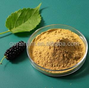 100% doğal yüksek saflıkta beyaz dut yaprağı ekstresi DNJ 2% gıda kozmetik sınıf bitki tozu formu mevcut şişe davul Can - Product Image 2