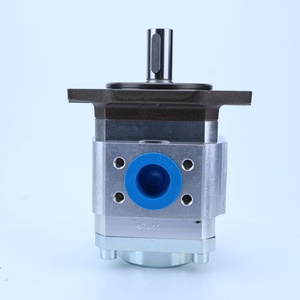 ปั๊มเกียร์ไฮดรอลิกภายใน Lainuo รุ่น PGI102 ซีรีส์ PGI102-2-008-RK03-11-6100 PGI102-2-004-RK03-11-6100 - Product Image 2