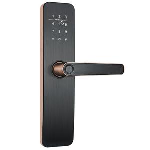 Fngerprint Keyless Smart <strong>Door</strong> Handle Lock Smart Lock Inteligente <strong>Digital</strong> <strong>Door</strong> Lock - Product Image 2