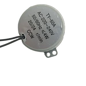Moteur synchrone miniature à engrenages monophasé haute qualité, grand couple, 110V-240V TY-50 4W AC pour extracteur de jus et appareils électroménagers - Product Image 4