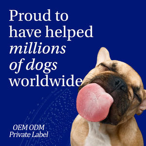 डॉक्टर ने सिफारिश की ग्लुकोसममाइन एमएसएम कुत्ते बड़े वरिष्ठ कुत्तों पालतू स्वास्थ्य देखभाल पूरक के लिए हिप संयुक्त सहायता गतिशीलता सहायता प्रदान की - Product Image 6