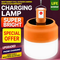 Lampe d'urgence portable solaire à double charge LED ultra-lumineuse pour camping, éclairage de nuit, panne de courant, pêche