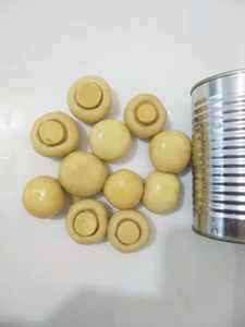 <span class=keywords><strong>Champignons</strong></span> frais pour <span class=keywords><strong>champignons</strong></span> comestibles ISO et HACCP de qualité alimentaire 2500g - Product Image 4