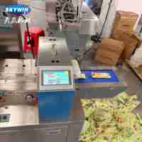 Machine de production de biscuits sandwich à grande vitesse Skywin pour usine alimentaire