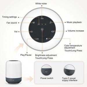 Veilleuse LED et machine à bruit blanc mini pour bébé, avec éclairage blanc chaud/blanc pur, intensité réglable et programmable pour le sommeil - Product Image 3