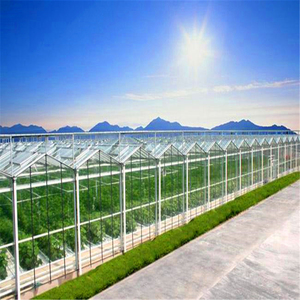 Invernadero Económico de Acero Galvanizado en Caliente de Gran Tamaño y Múltiples Tramos con Vidrio Templado para <span class=keywords><strong>Agricultura</strong></span> Hidropónica - Product Image 5