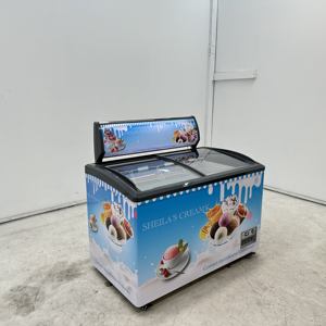 Vitrine Réfrigérée Combinée pour Supermarché, Congélateur Horizontal pour Glaces, <span class=keywords><strong>Réfrigérateur</strong></span> Commercial - Product Image 5