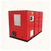 Máquina Sopladora Eléctrica de Tornillo de Frecuencia Variable Sin Aceite, Enfriada por Aire, para Uso Médico, 75KW/100HP, Bajo Ruido, Venta al por Mayor, Bajo Costo