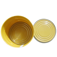 Offre Spéciale : Pâte de Tomate en Conserve Facile à Ouvrir, 28-30% Brix, 70g-2200g, Emballage en Boîte, Sans Additifs, Goût Aigre-Doux pour Pâtes