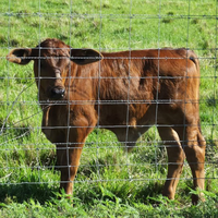 Panneaux de clôture à nœuds fixes pour les fermes d'élevage de bovins et de cerfs