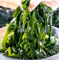 Fournisseur d'usine – Poudre d'algues vertes/Wakame 100 % naturelle de haute qualité pour l'alimentation animale, grade 60-120 mesh, emballage OEM